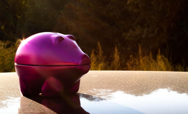 Maximize Your 401(k) Match: A 2025 Guide for US Employees