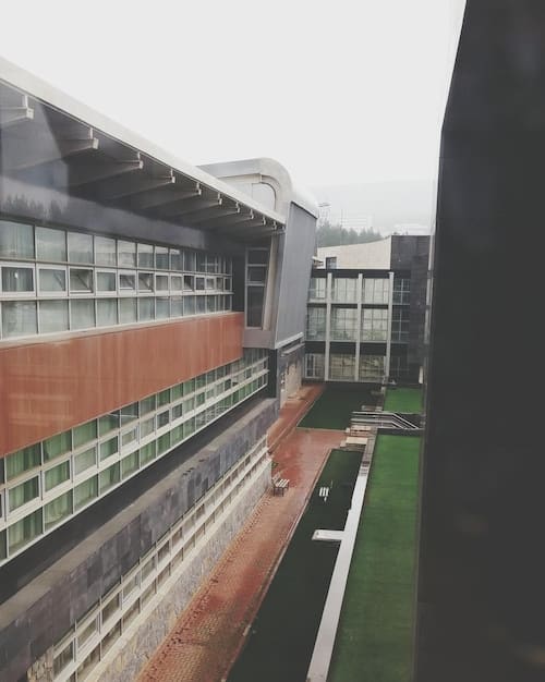 US Collegiate Esports 2025: Top Universities to Watch